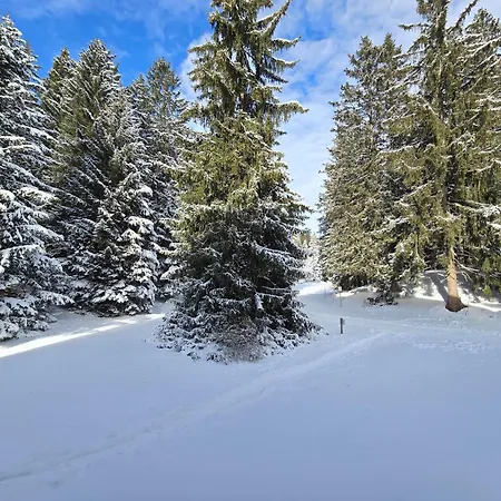 Belmont Seegarten Lenzerheide
