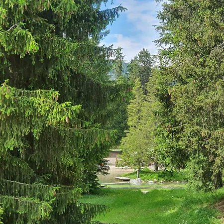Apartment Belmont Seegarten Lenzerheide