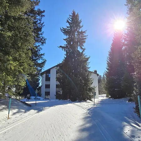 Belmont Seegarten Lenzerheide